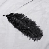 Gothic Dynamic Feather  Veil